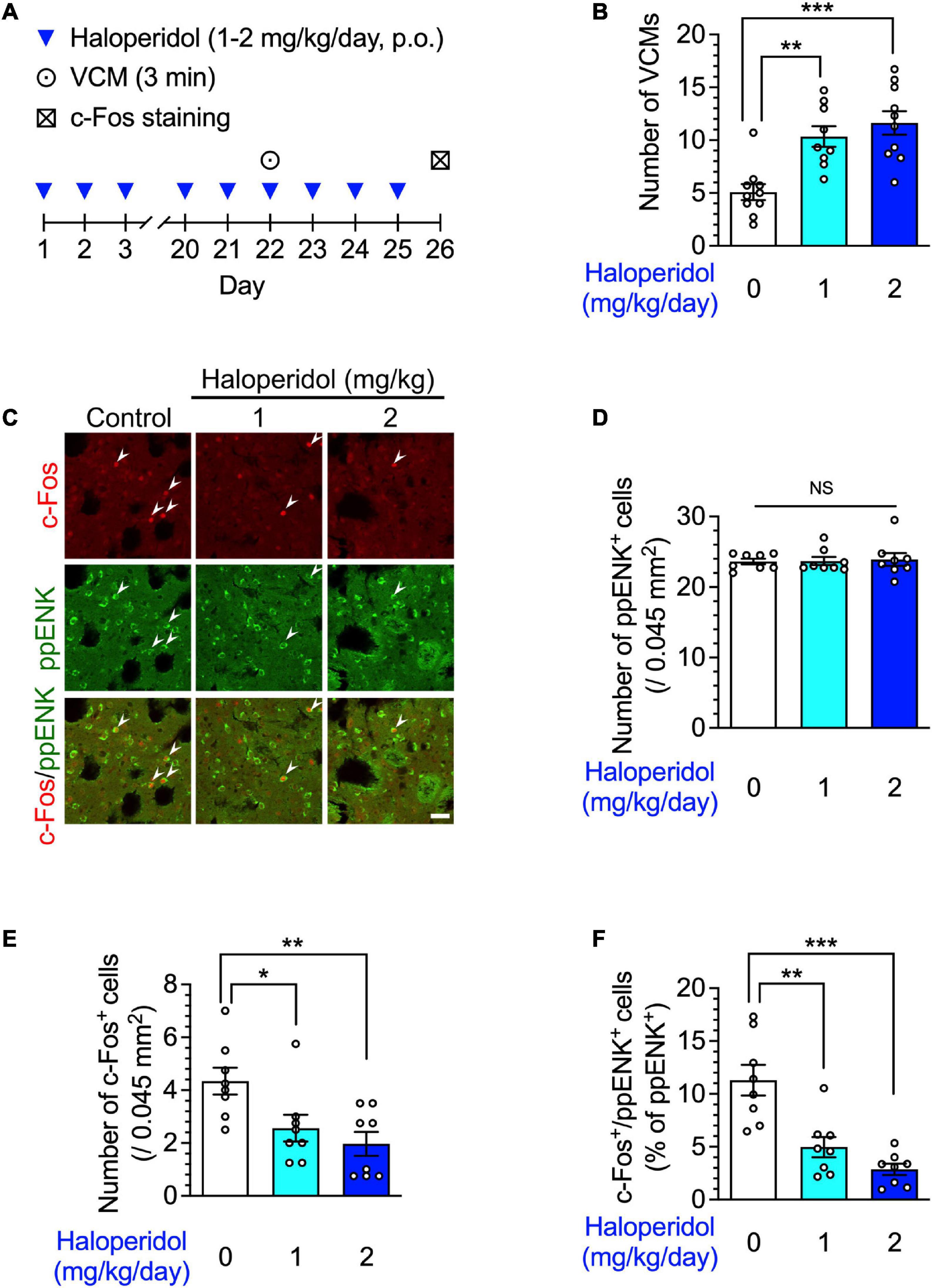 Enhancement of adenosine A2A signaling improves dopamine D2 receptor antagonist-induced dyskinesia via β-arrestin signaling
